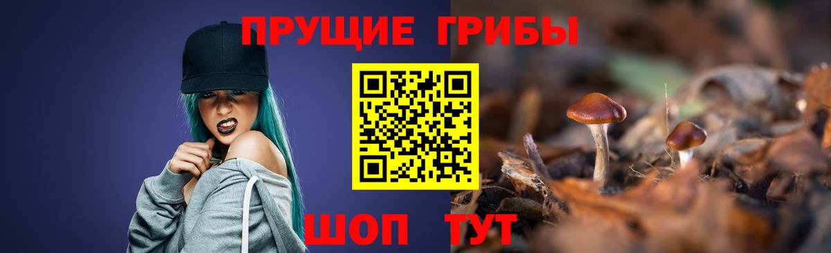 Псилоцибиновые грибы мицелий Тверь